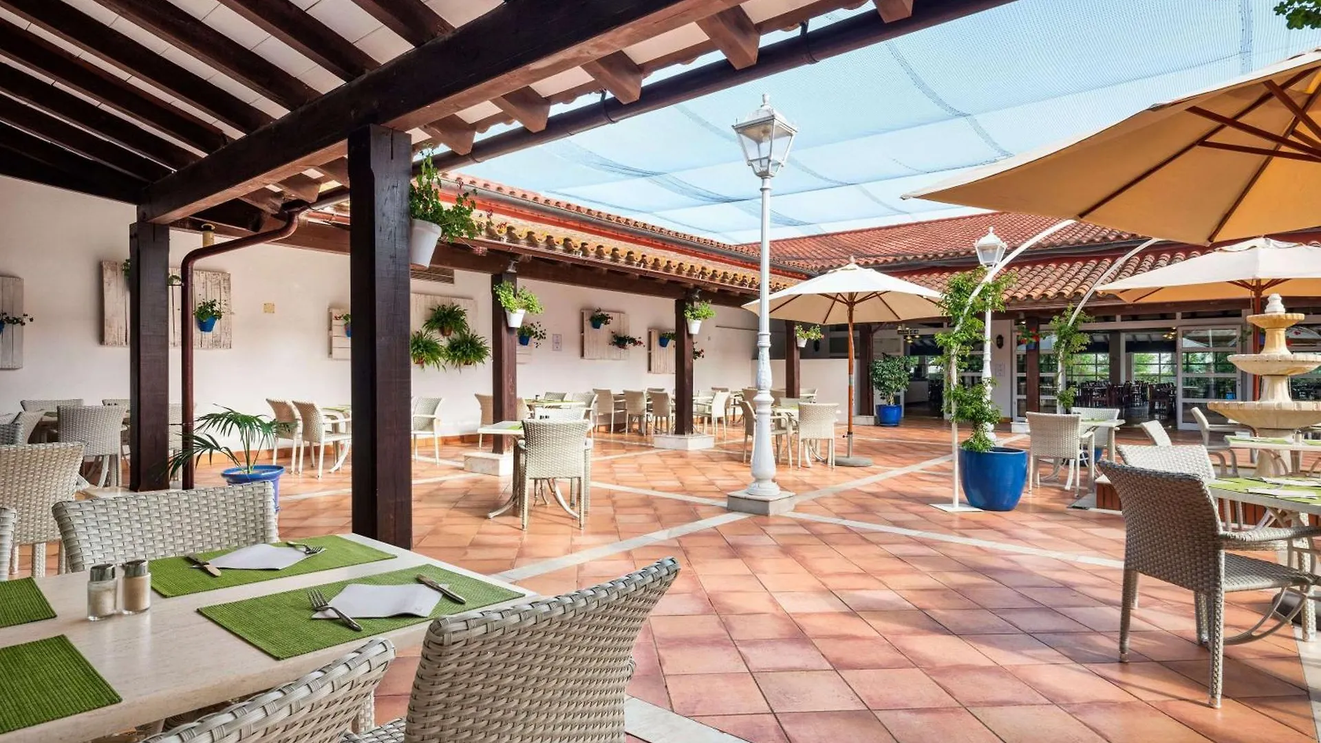 Sol Falco Menorca Son Xoriguer España