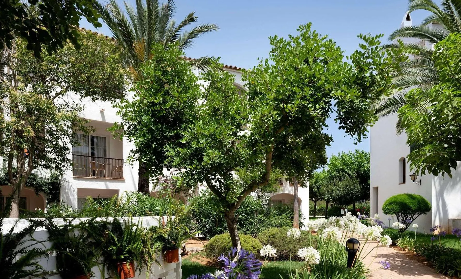 Sol Falco Menorca Son Xoriguer Hotel