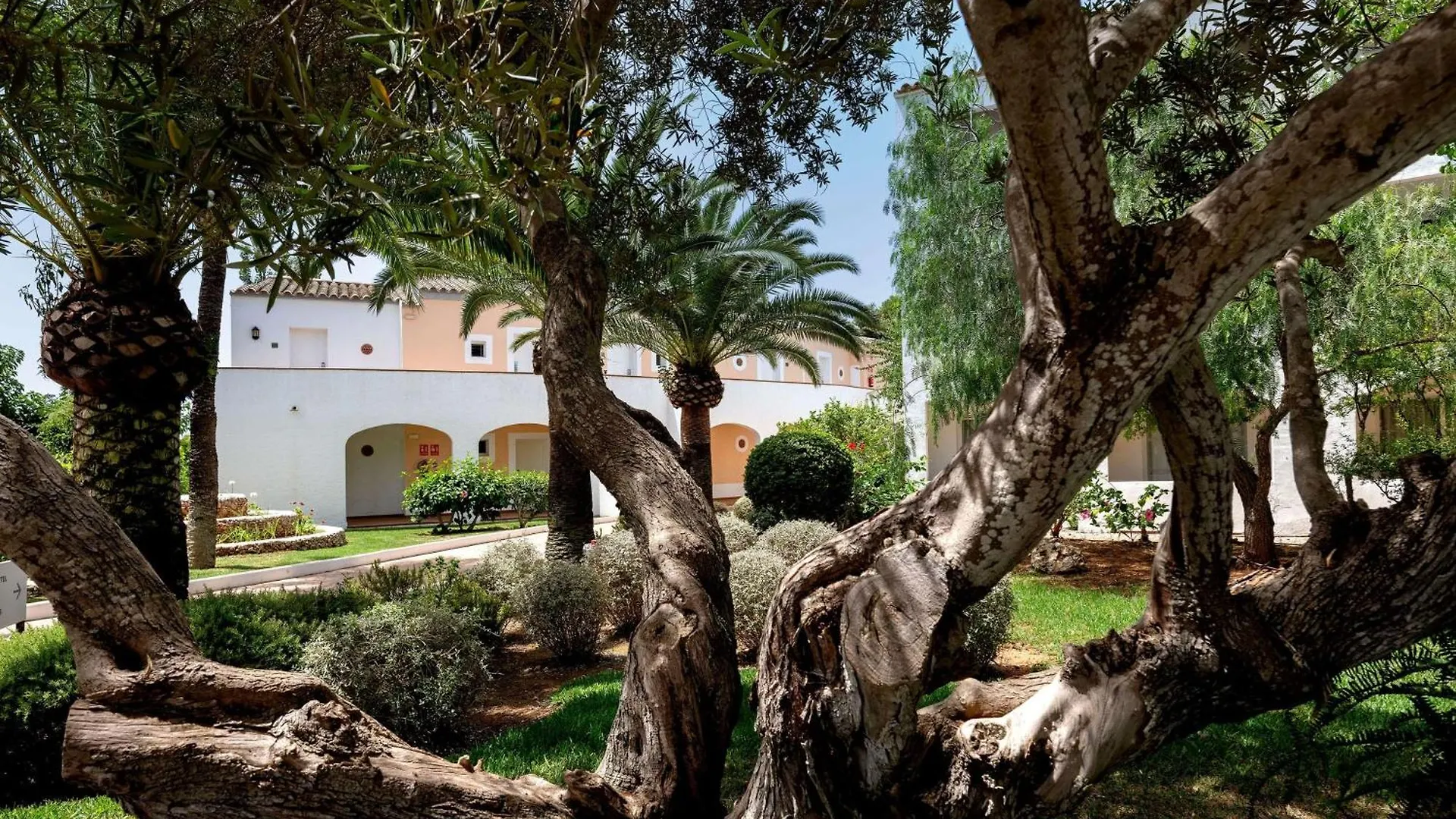 Sol Falco Menorca Son Xoriguer España